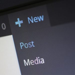 Edit tema WordPress