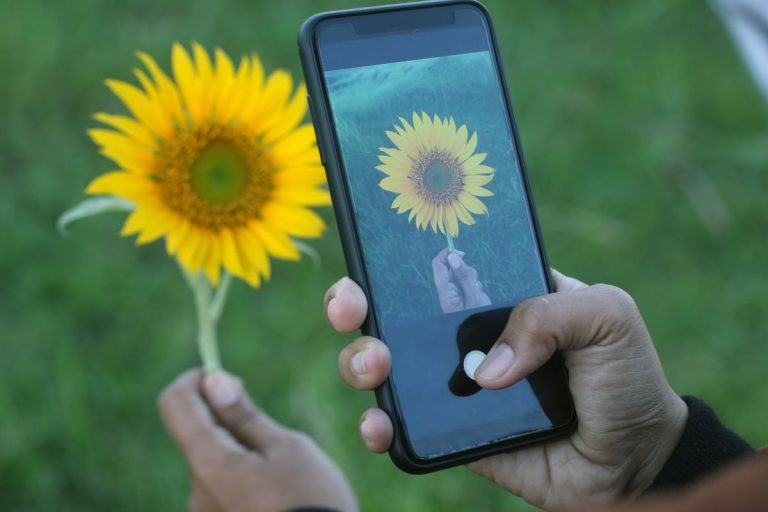 Visual search