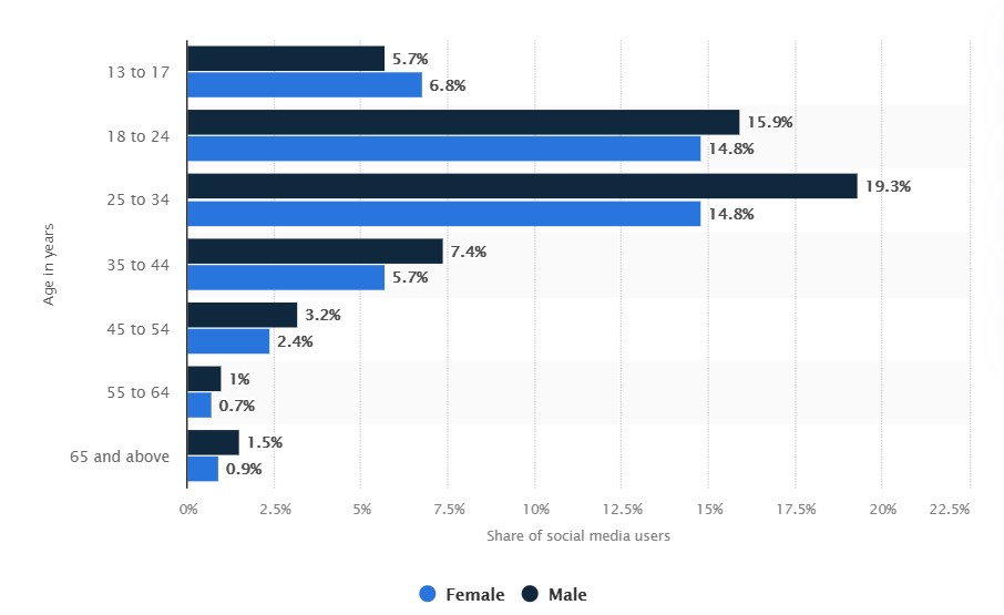 Indonesia social media audience profile