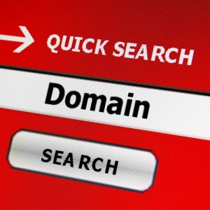 Domain quick search