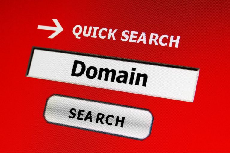 Domain quick search
