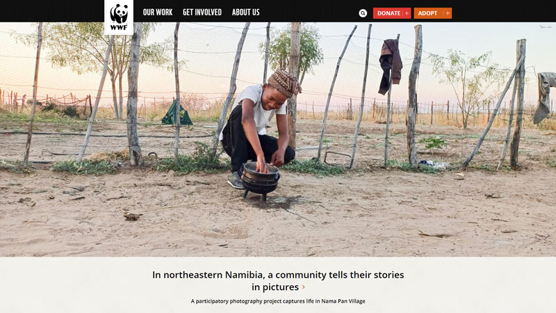 Website WWF